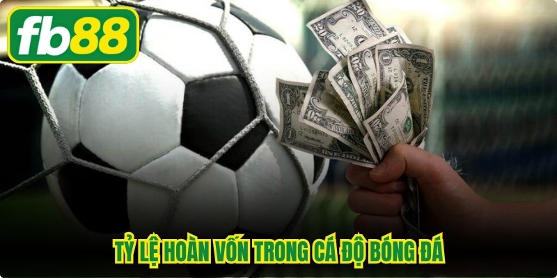 Tỷ Lệ Hoàn Vốn Trong Cá Độ Bóng Đá