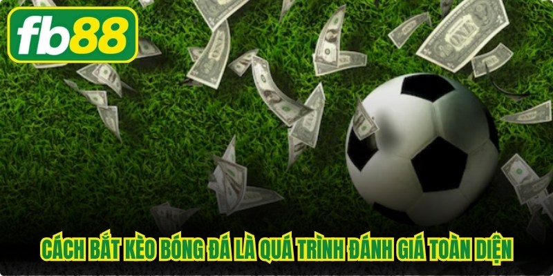 Cách bắt kèo bóng đá là quá trình đánh giá toàn diện thông tin 