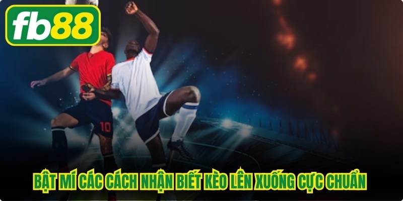 Bật mí các cách nhận biết kèo lên xuống cực chuẩn cho anh em