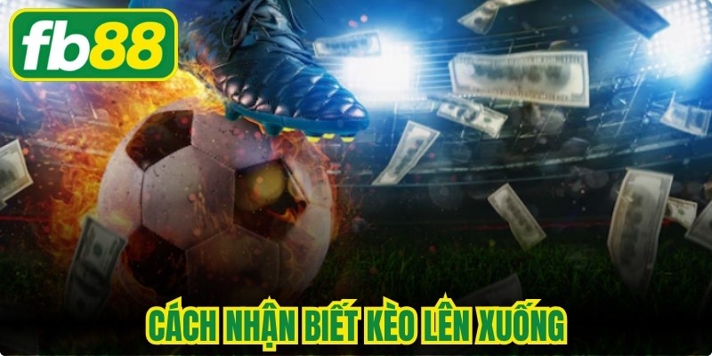 Cách Nhận Biết Kèo Lên Xuống