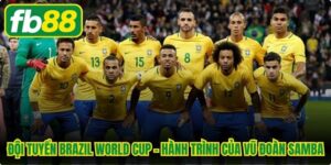 Đội Tuyển Brazil World Cup