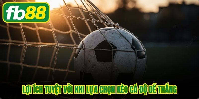 Lợi ích tuyệt vời khi lựa chọn kèo cá độ dễ thắng