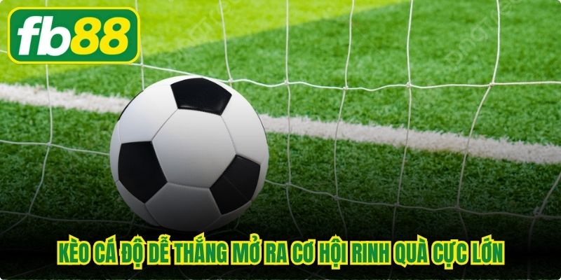 Kèo cá độ dễ thắng mở ra cơ hội rinh quà cực lớn