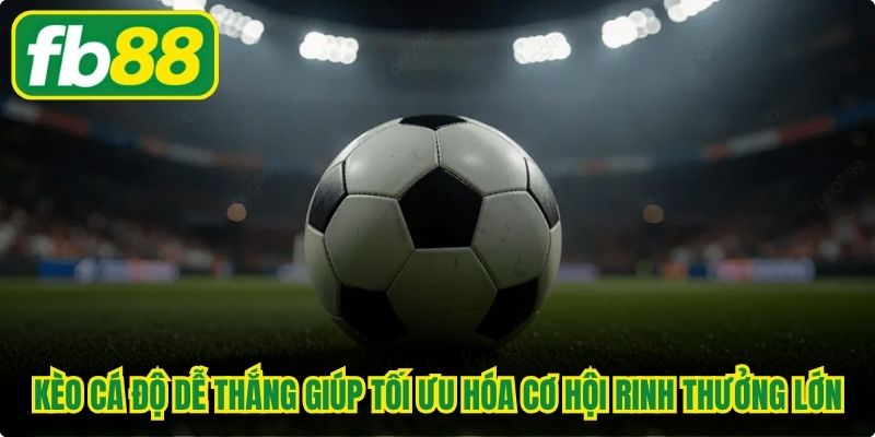 Kèo cá độ dễ thắng giúp người chơi tối ưu hóa cơ hội rinh thưởng lớn