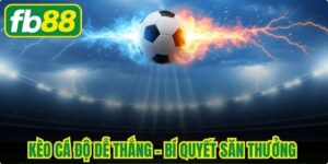 Kèo Cá Độ Dễ Thắng