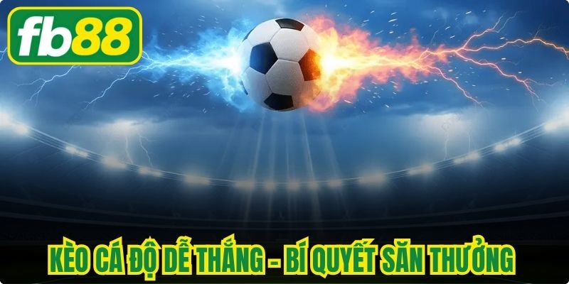 Kèo Cá Độ Dễ Thắng