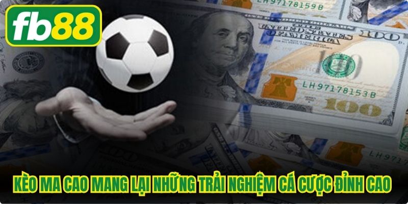 Kèo Ma Cao mang lại những trải nghiệm cá cược đỉnh cao và minh bạch