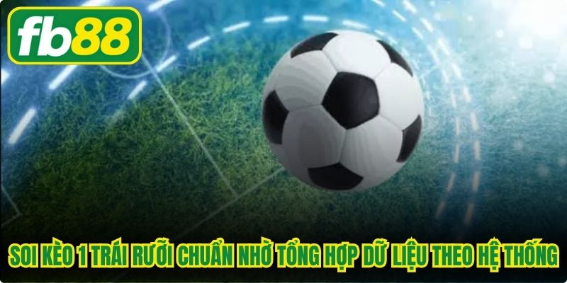 Soi kèo 1 trái rưỡi chuẩn xác nhờ tổng hợp dữ liệu theo hệ thống