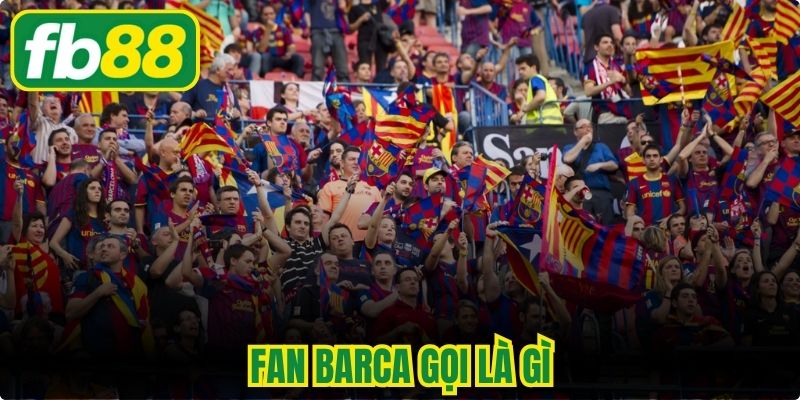Fan Barca Gọi Là Gì