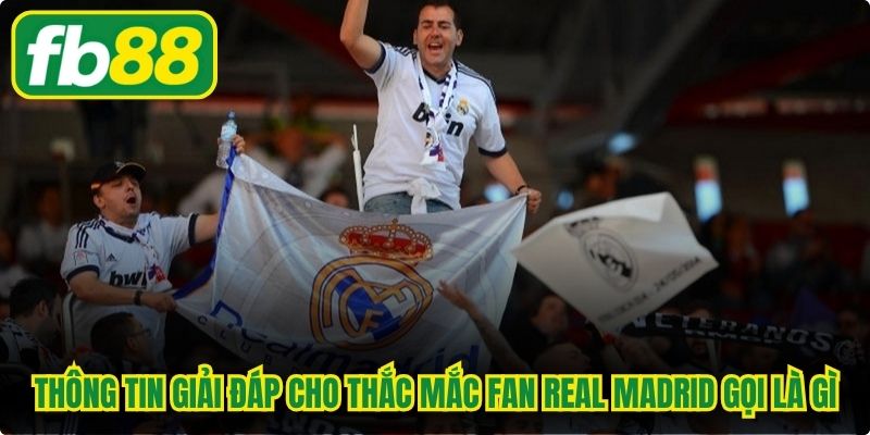 Thông tin giải đáp cho thắc mắc Fan Real Madrid gọi là gì 