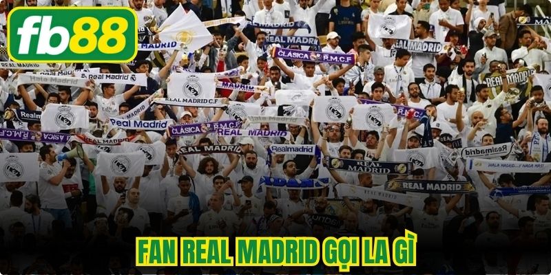 Fan Real Madrid Gọi Là Gì