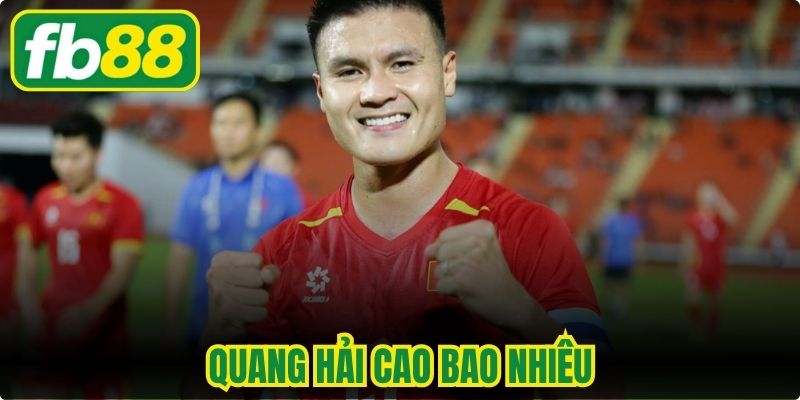 Quang Hải Cao Bao Nhiêu