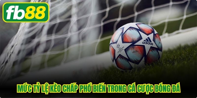 Mức tỷ lệ kèo chấp phổ biến trong cá cược bóng đá